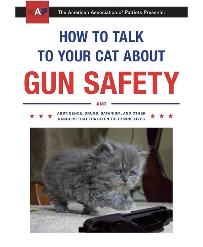 How to Talk to Your Cat About Gun Safety Paperback Book