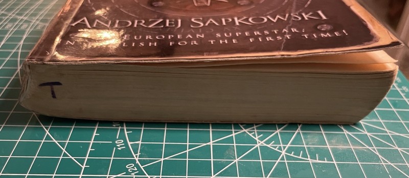 The Last Wish 1st Eng Ed 1st Print SC Andrzej Sapkowski Gollancz Fair Condition gallery