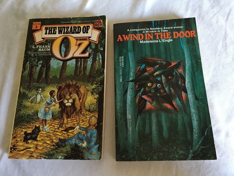 6 PBs Gr 4-7 Shane, Wizard of Oz, Wind in the Door, Jemmy, Summer Life, X-Files gallery