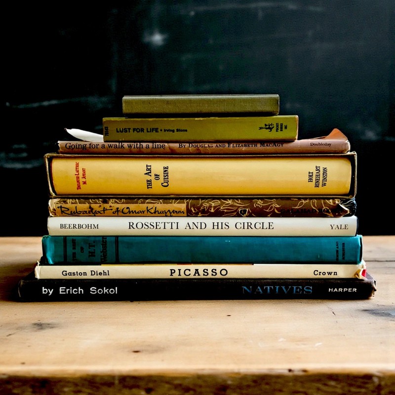 9 Vintage ART Books Stack Picasso VAN GOGH Toulouse-Lautrec Sokol H. T. Webster