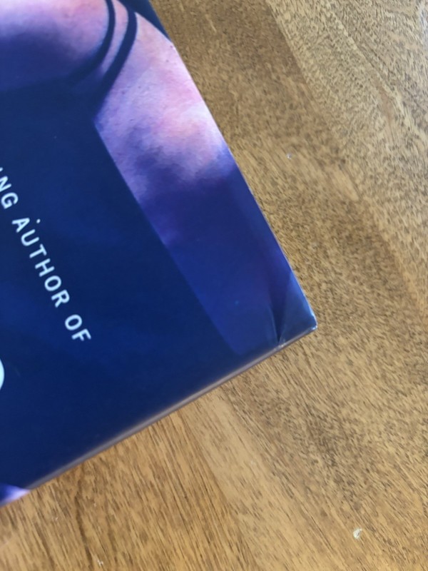 Therapist : A Novel by B. A. Paris (2021, Hardcover) gallery