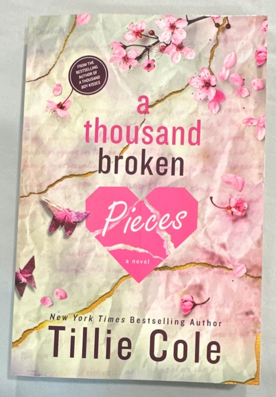 Tillie Cole A Thousand Broken Pieces Paperback Romance Fiction Novel English YA