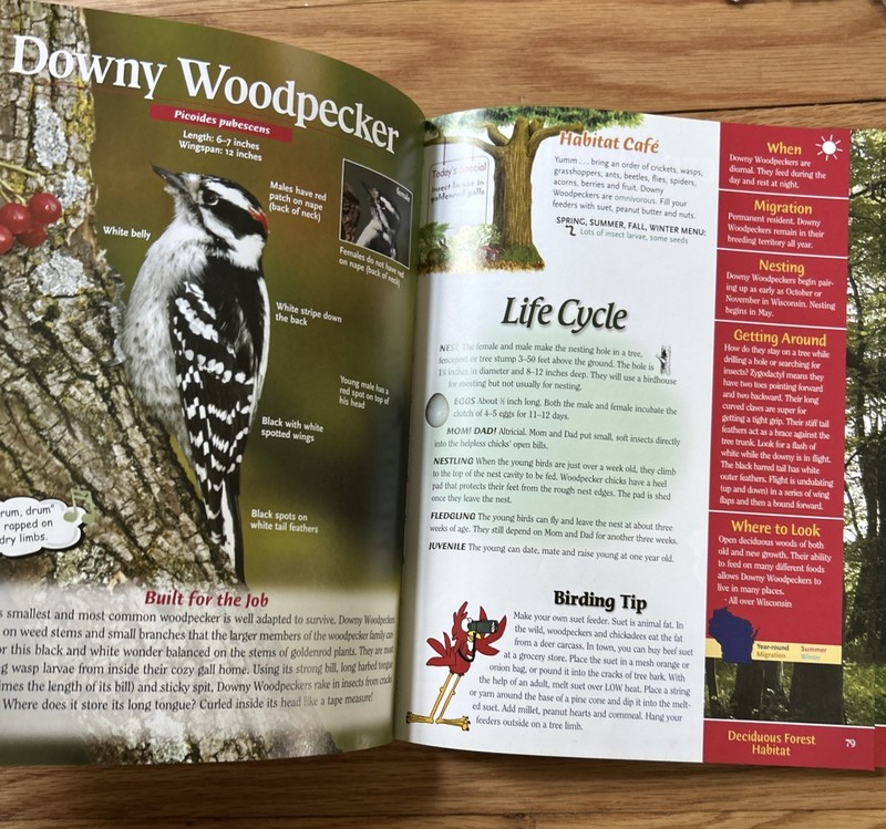 Wild about Wisconsin Birds : A Youth’s Guide to the Birds of Wisconsin by Adele