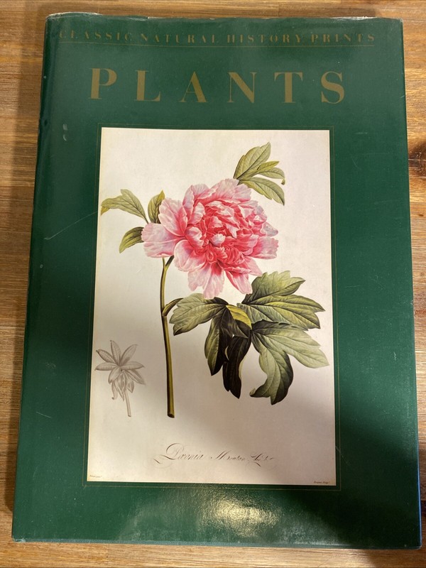 Eve, Norman Robson – Plants, Classic Natural History prints 1990 large book Art