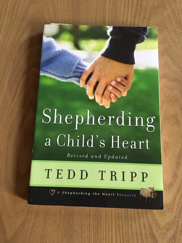 Shepherding a Child’s Heart PAPERBACK 1995 BY Tedd Tripp