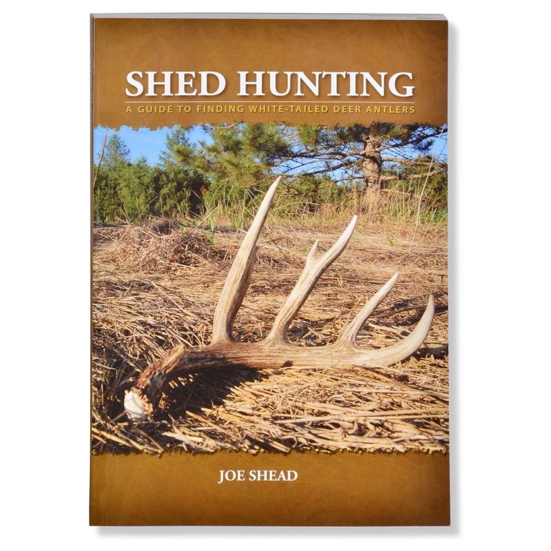 Shed Hunting – A Guide to Finding White-tailed Deer Antlers