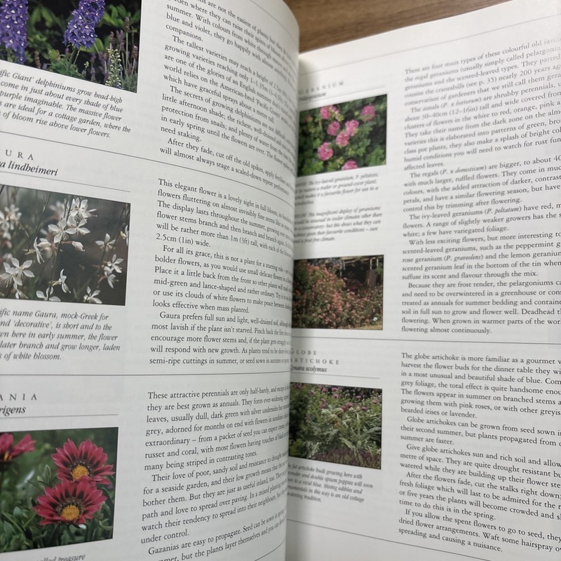 A Gardener's Guide to Cottage Gardening by Strong, Graham, Acceptable Book gallery