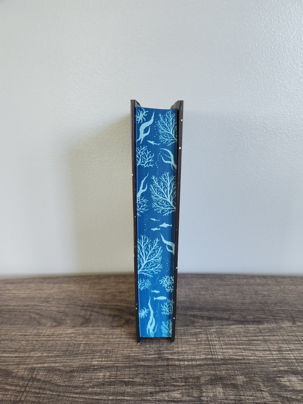 A Theory of Dreaming Ava Reid Signed 1st Edition Waterstones Exclusive Hardcover gallery