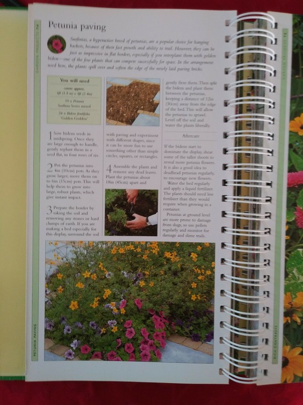 Easy Mix And Match Garden Color Guide To Annuals And Perennials gallery