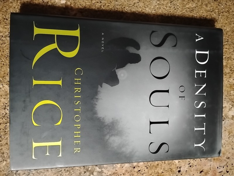 Density of Souls by Christopher Rice (2001, Trade Paperback)