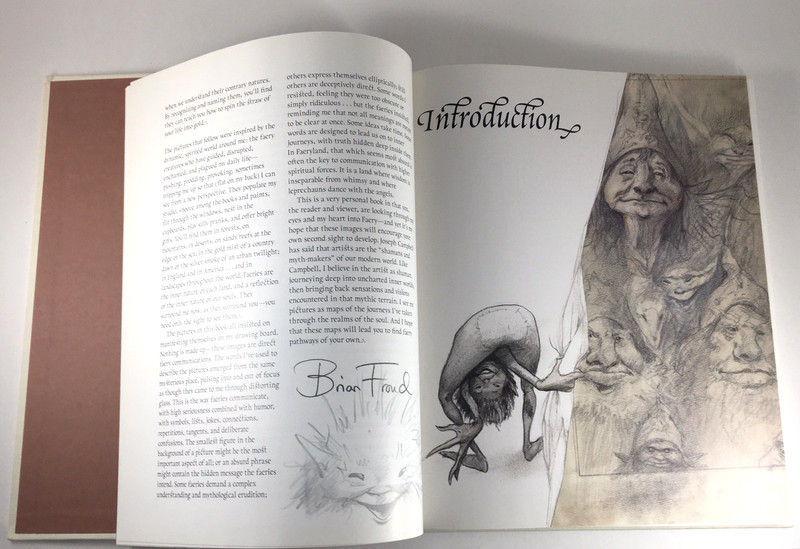 Good Faeries Bad Faeries Brian Froud c1998 HC Gr8 4 Art Framing 2-in-1 Book gallery