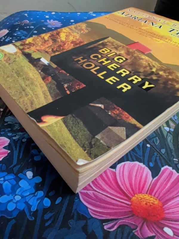 Big Stone Gap Big Cherry Holler Trade Paperback By Adriana Trigiani gallery