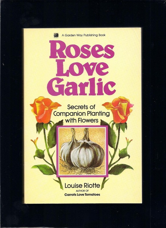 Roses Love Garlic – paperback Illustrated|Louise Riotte