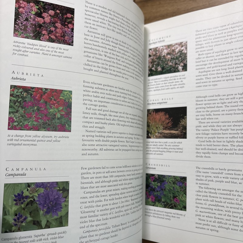 A Gardener's Guide to Cottage Gardening by Strong, Graham, Acceptable Book gallery