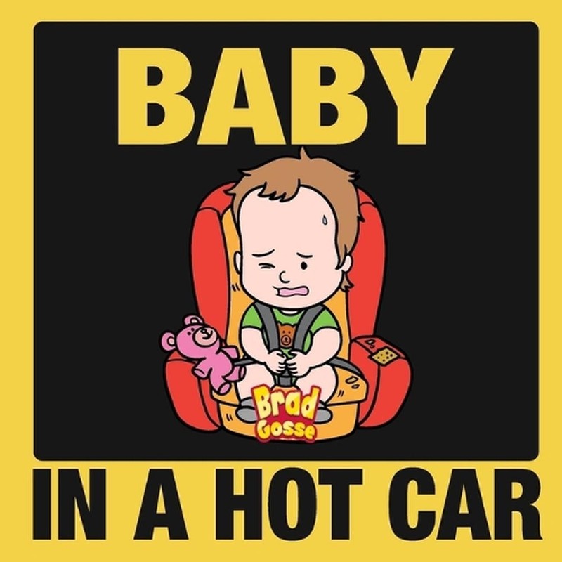 Baby in a Hot Car by Brad Gosse Paperback Book