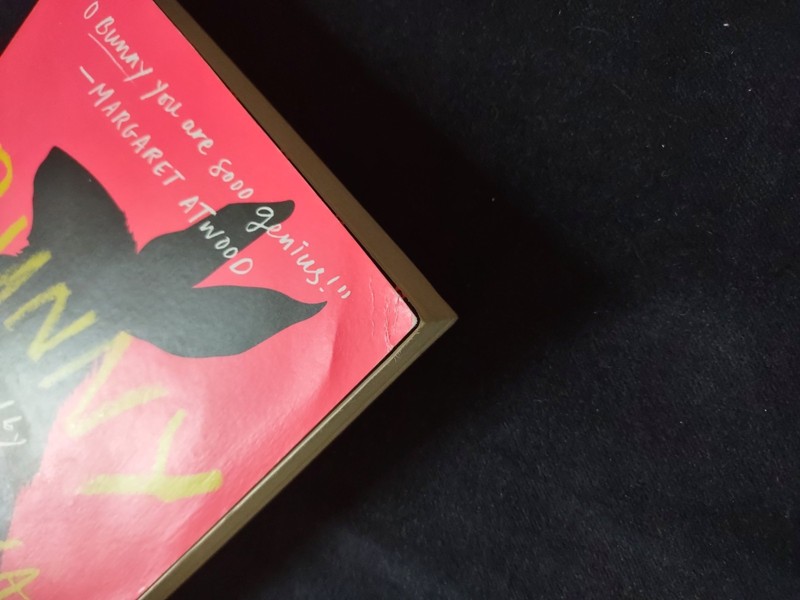 BUNNY A Novel By Author Mona Awad Softcover Book Funny Dark Humor Fiction Salon gallery
