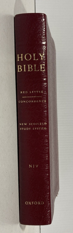 New Scofield Study System Bible NIV 1984 Berkshire Leather Red Let./ Concordance