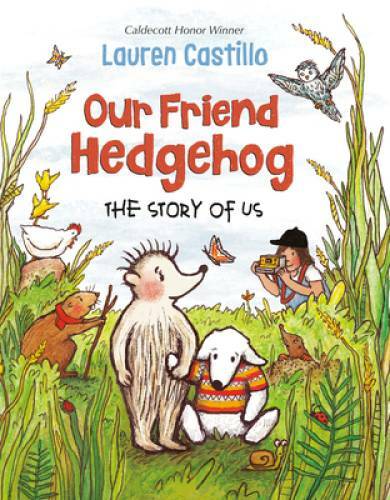 Our Friend Hedgehog: The Story of Us – Hardcover By Castillo, Lauren – GOOD