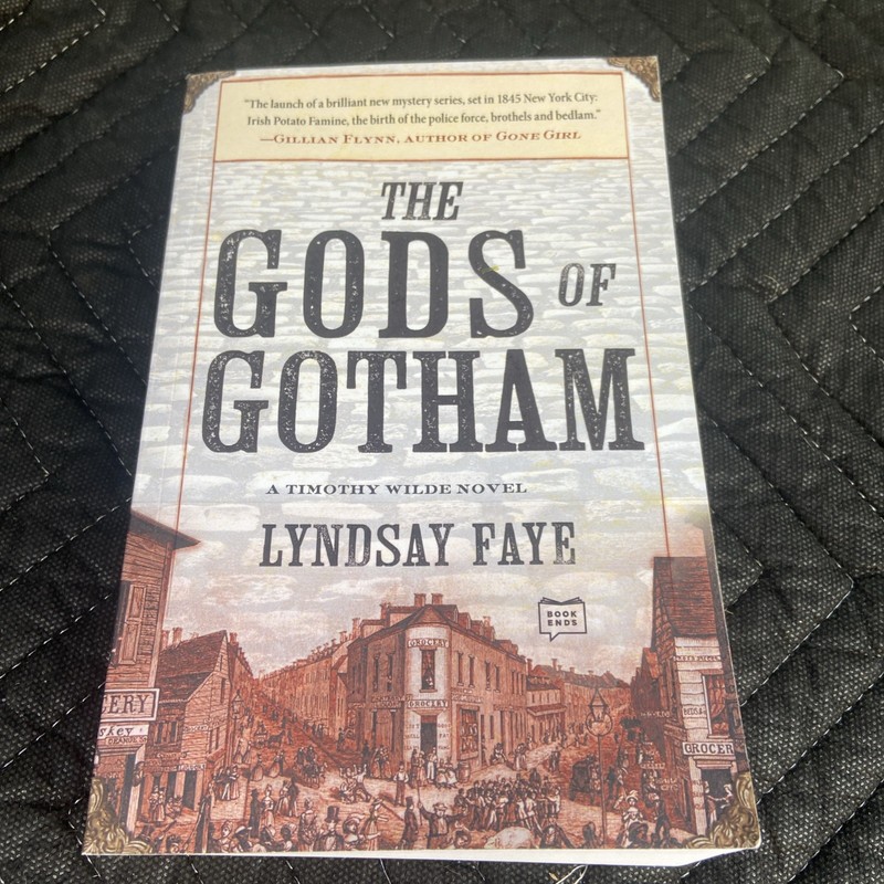 Gods of Gotham by Lyndsay Faye (2013, Trade Paperback) D6