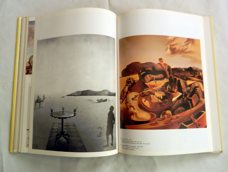 Dali by Ignacio Gomez di Liano Salvador Dali Surrealism Hardcover 12" x 8.5" gallery