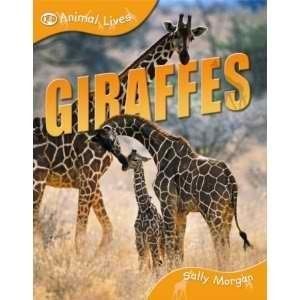 Giraffes (QEB Animal Lives) by Sally Morgan, Good Book