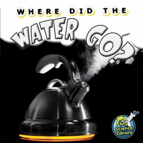 Where Did the Water Go? Hardcover Amy S. Hansen