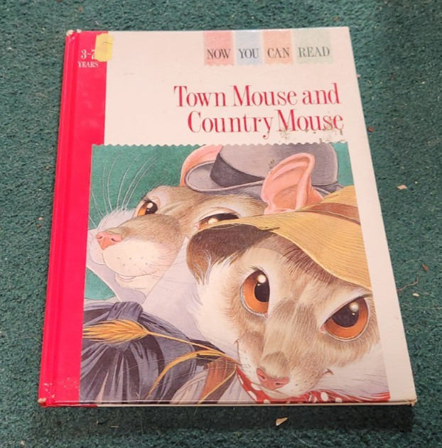 1990 TOWN MOUSE AND COUNTRY MOUSE Eric Kincaid Now You Can Read Book Brimax HC