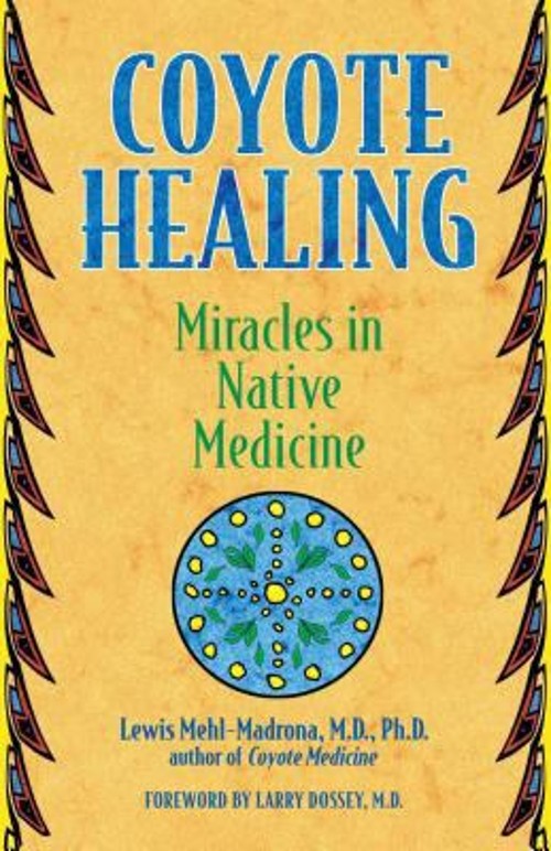 Coyote Healing : Miracles in Native Medicine Paperback Lewis Mehl