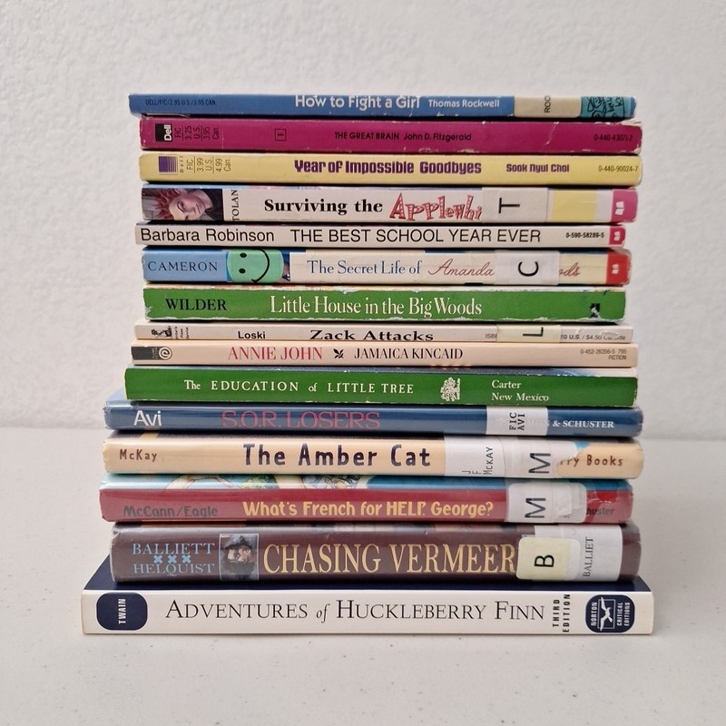 Lot of 15 Vintage YA Young Adult Books, Literature Coming of Age, Mixed Authors gallery