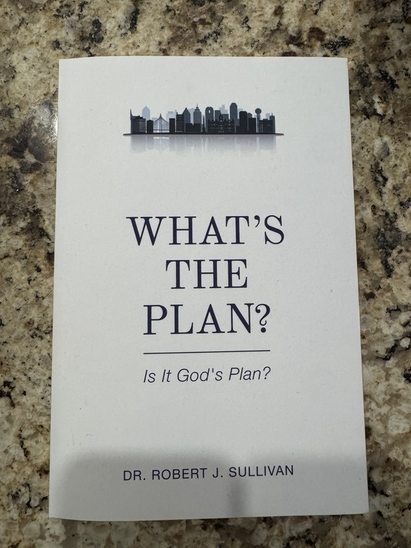 What’s the Plan by Robert Sullivan (2022, Trade Paperback)
