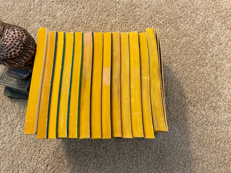 Lot of 13 DAW Yellow Spine: Alan Burt Akers Dray Prescot All 1st printings gallery