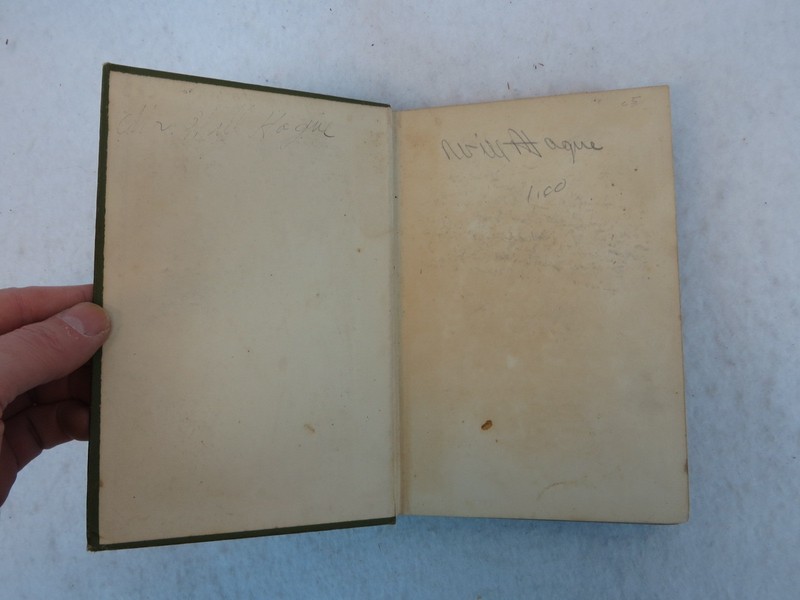 C.N & A.M. Williamson THE MOTOR MAID Doubleday, Page & Co. NY 1910 1stEd Illust gallery