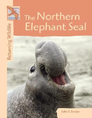 The Northern Elephant Seal (Returning Wildlife) by John Becker