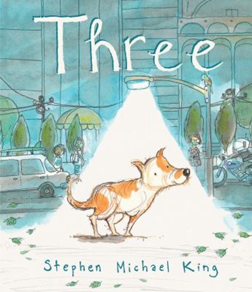 Three Hardcover Stephen Michael King