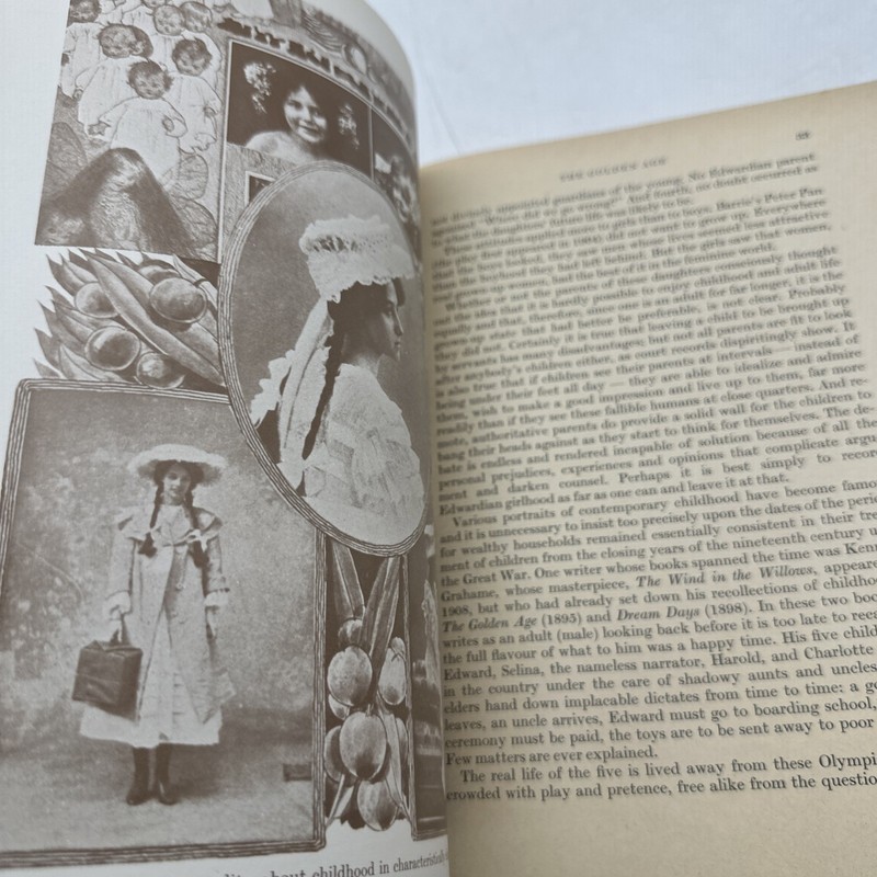 Edwardian Lady High Society 1900-1914 Illustrated Fashion Book (14-6) gallery