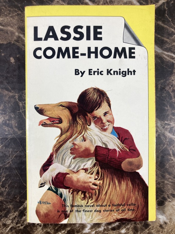 Lassie Come Home by Eric Knight Tempo Books Edition 1966 Paperback Vintage VGC