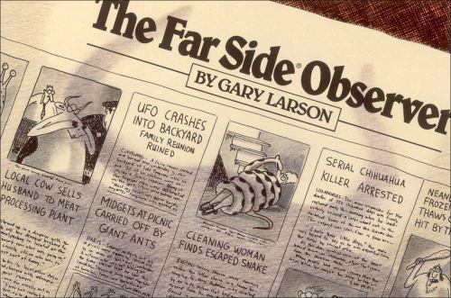 Far Side Ser.: The Far Side Observer by Gary Larson (1987, Trade Paperback)