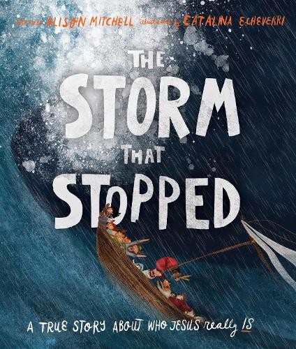 Alison Mitchell The Storm That Stopped Storybook (Hardback)