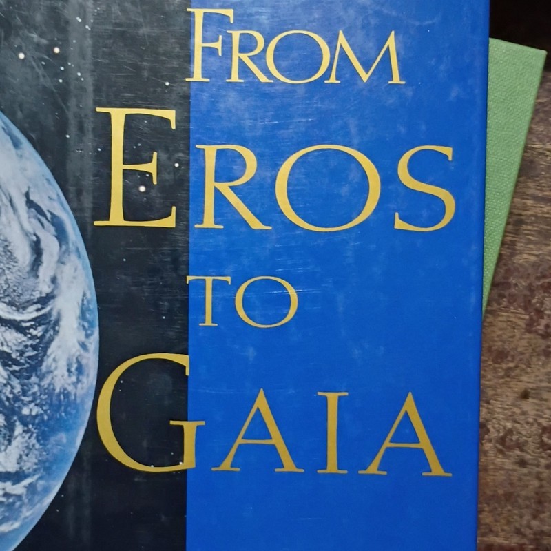 From Eros to Gaia by Freeman Dyson (1992, Pantheon Books, Hardcover) gallery