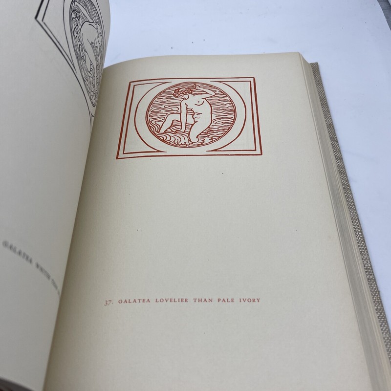 The Woodcuts of Maillol Illustrated Art Book Modernist Printmaking (41-7) gallery