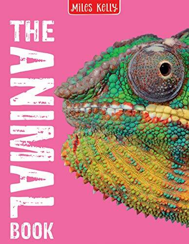 The Animal Book By Camilla de la Bedoyere