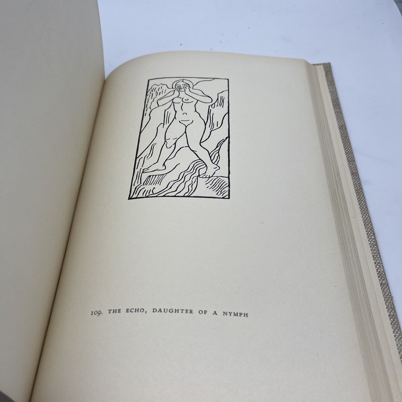 The Woodcuts of Maillol Illustrated Art Book Modernist Printmaking (41-7) gallery