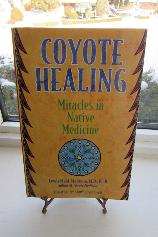 Coyote Healing: Miracles in Native Medicine 2003 Paperback – Signed & Dated 2008