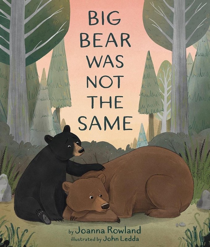 Big Bear Was Not the Same by Joanna Rowland (English) Hardcover Book