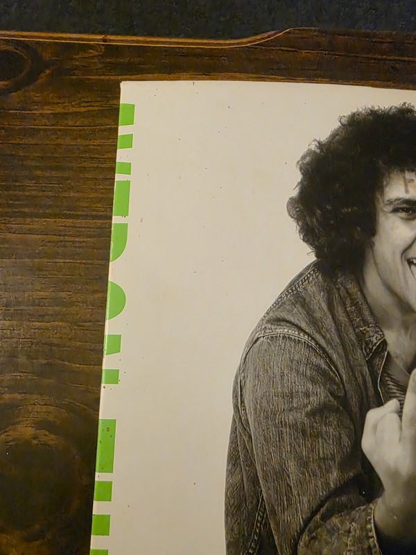 The Sixties by Doon Arbus and Richard Avedon HCDJ 1999 gallery