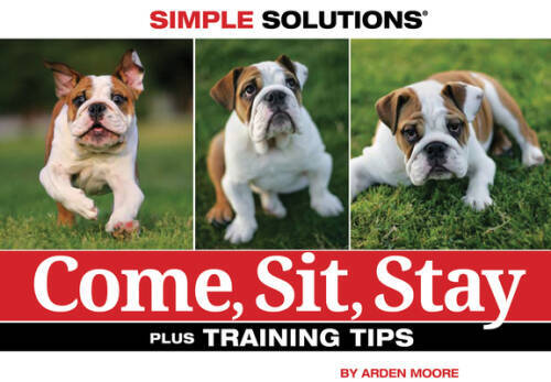 Come, Sit, Stay (Simple Solutions (Bowtie Press)) – Paperback – VERY GOOD