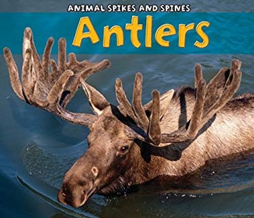 Antlers Hardcover Rebecca Rissman