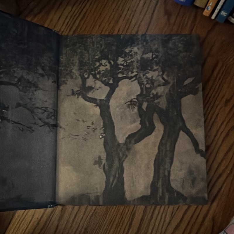 Mark Salisbury Crimson Peak: The Art of Darkness 2015 Hardcover Insight gallery