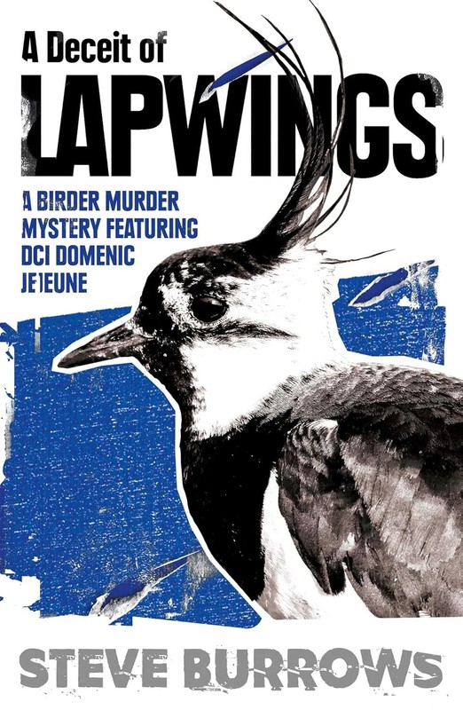 A Deceit of Lapwings Paperback by Steve Burrows