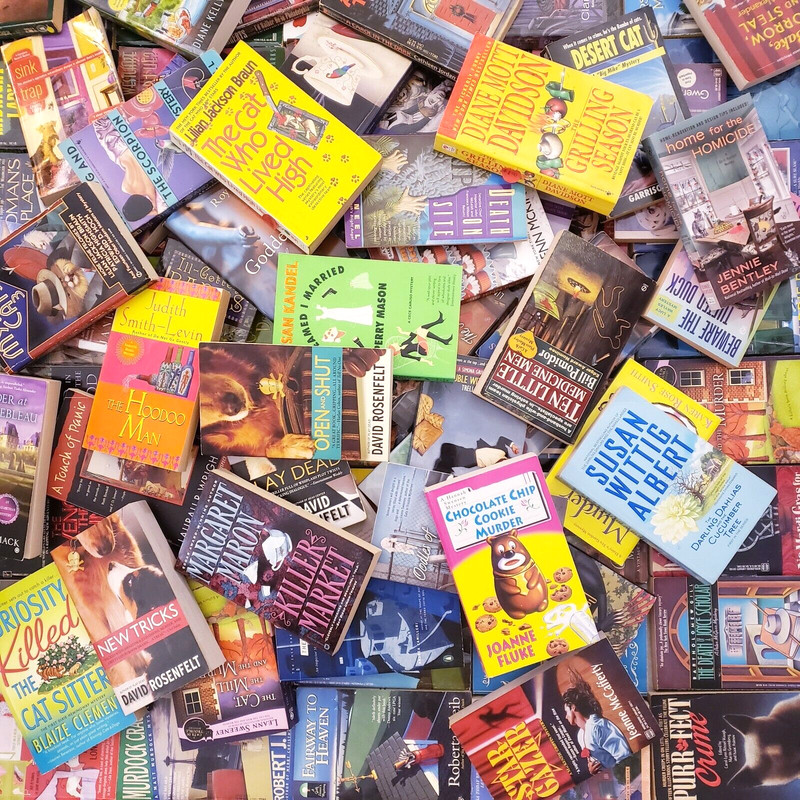 Random Pick Box Huge Big Lot 50 Cozy Mystery Novel Mass Market Book Mixed Author